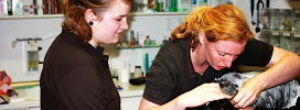 photo_002 photo_002